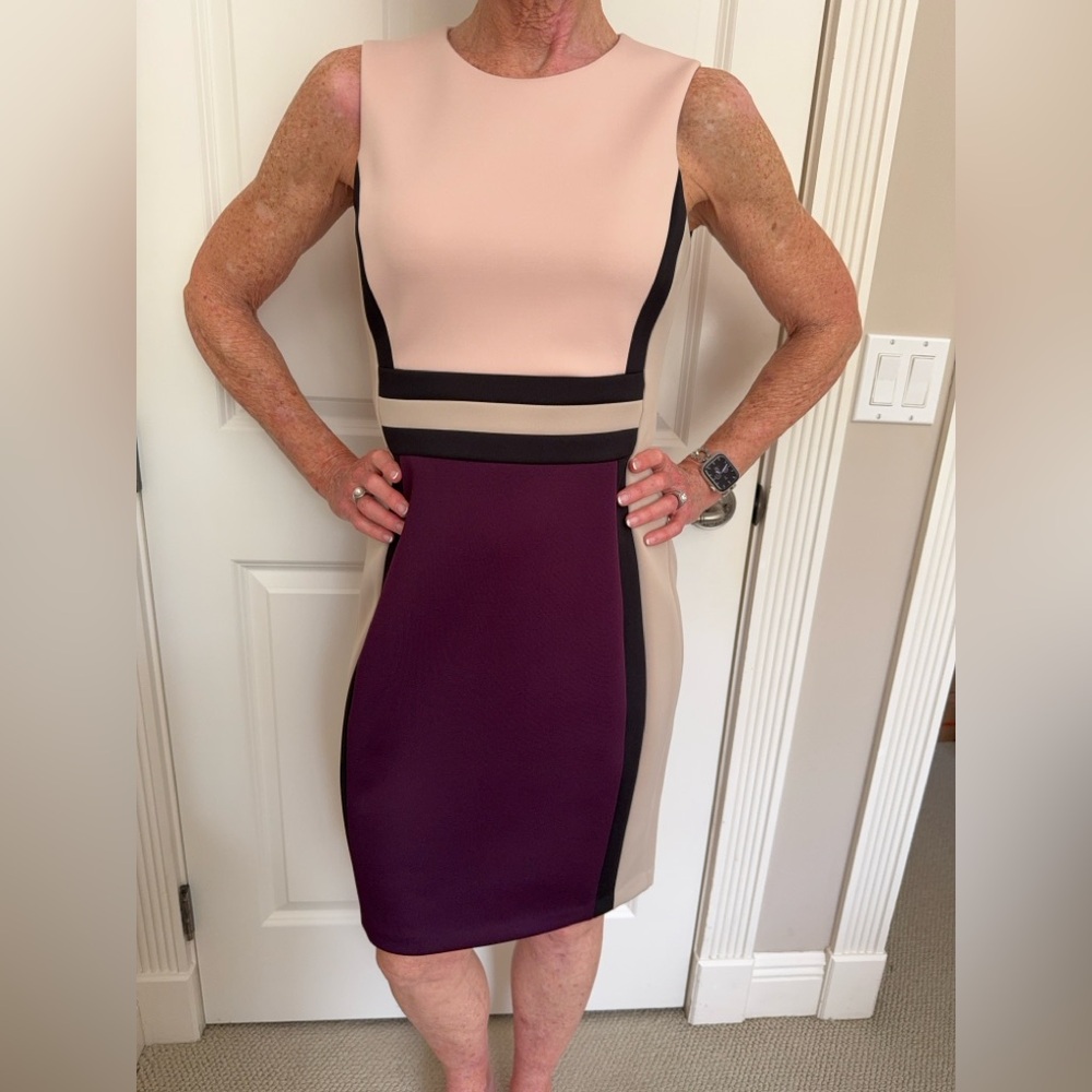 Elegant Colorblock Sleeveless Dress